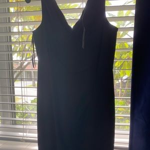 Never worn express dress